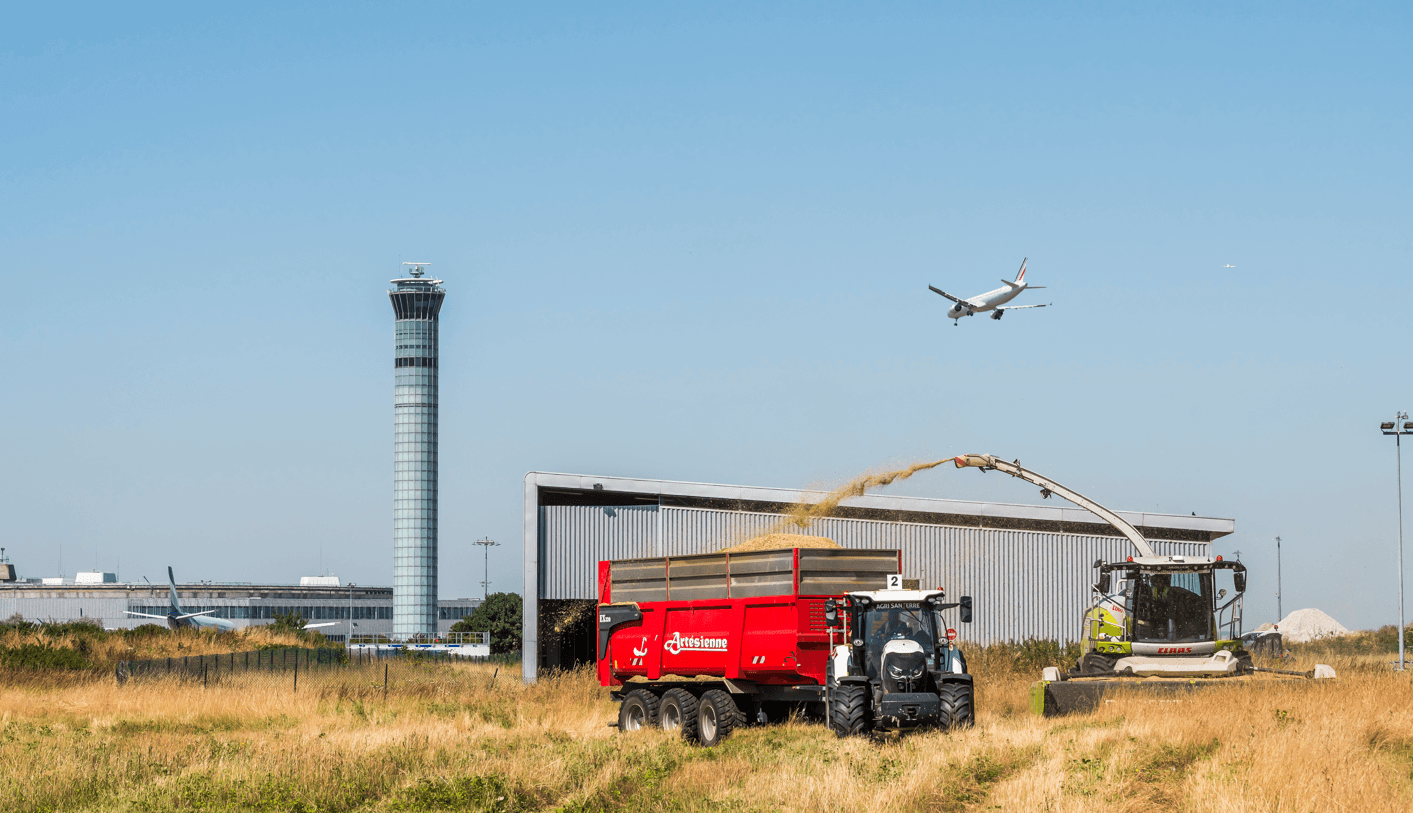 Late mowing on the airport grasslands at Paris-Charles de Gaulle
