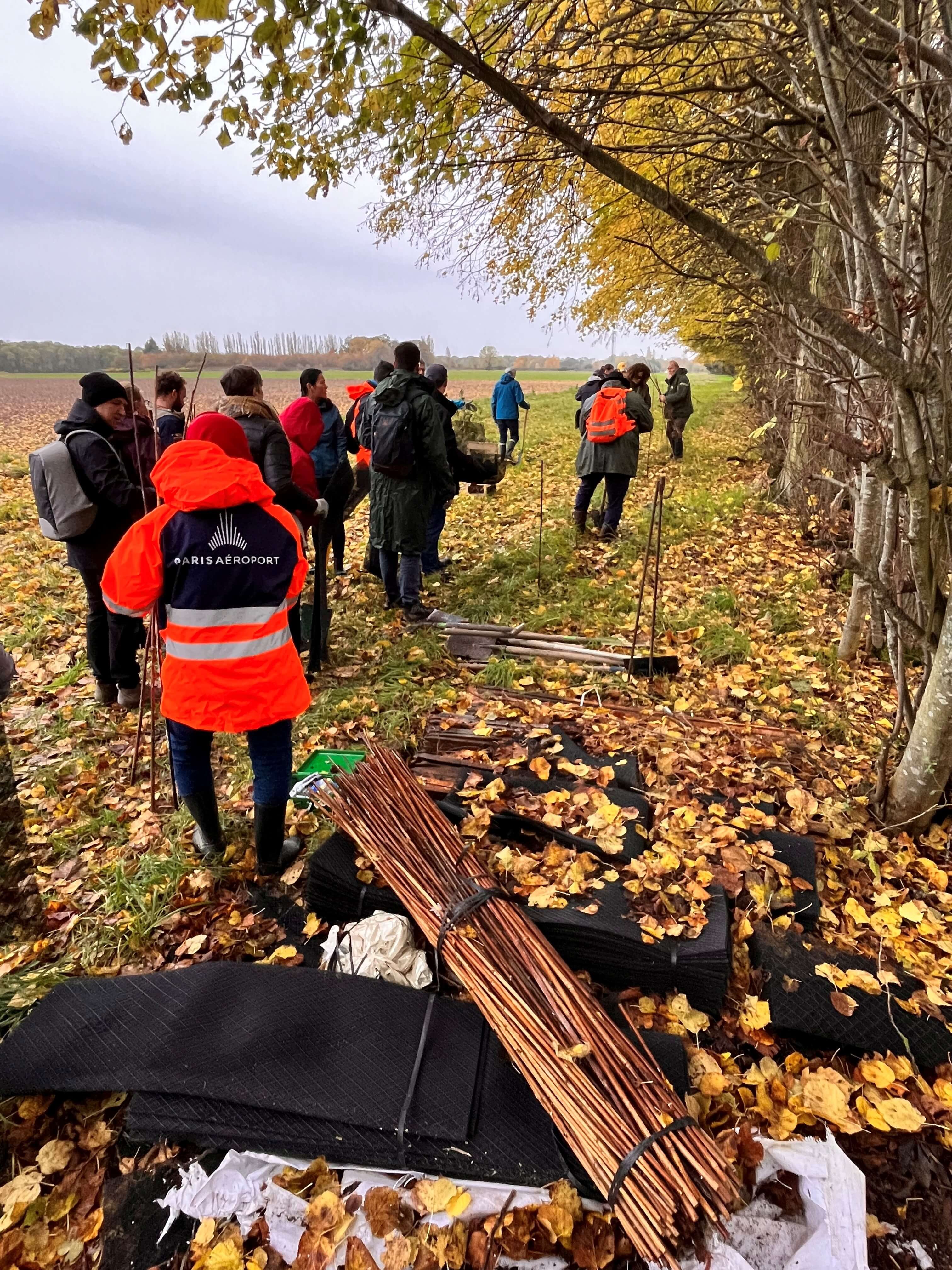 Reforestation project at the ONF forest reserve in Marly-le-Roi